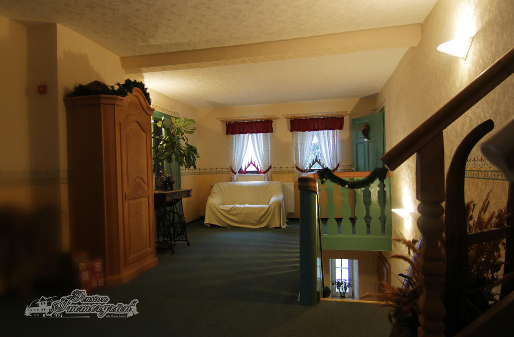 Pension Immergruen Jonsdorf Extérieur photo