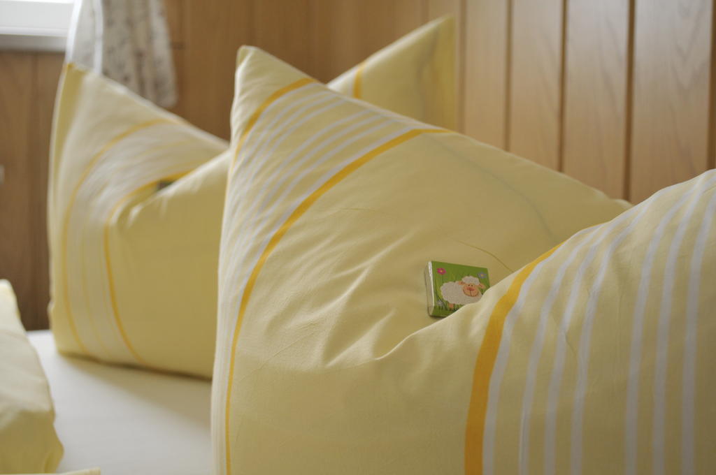 Pension Immergruen Jonsdorf Chambre photo